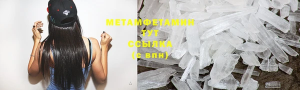 шишки Белокуриха