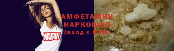 шишки Белокуриха
